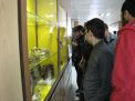 گزارش تصویری بازدید دانش آموزان پسر سال چهارم دوره دوم دبیرستان، از دانشگاه صنعتی شاهرود